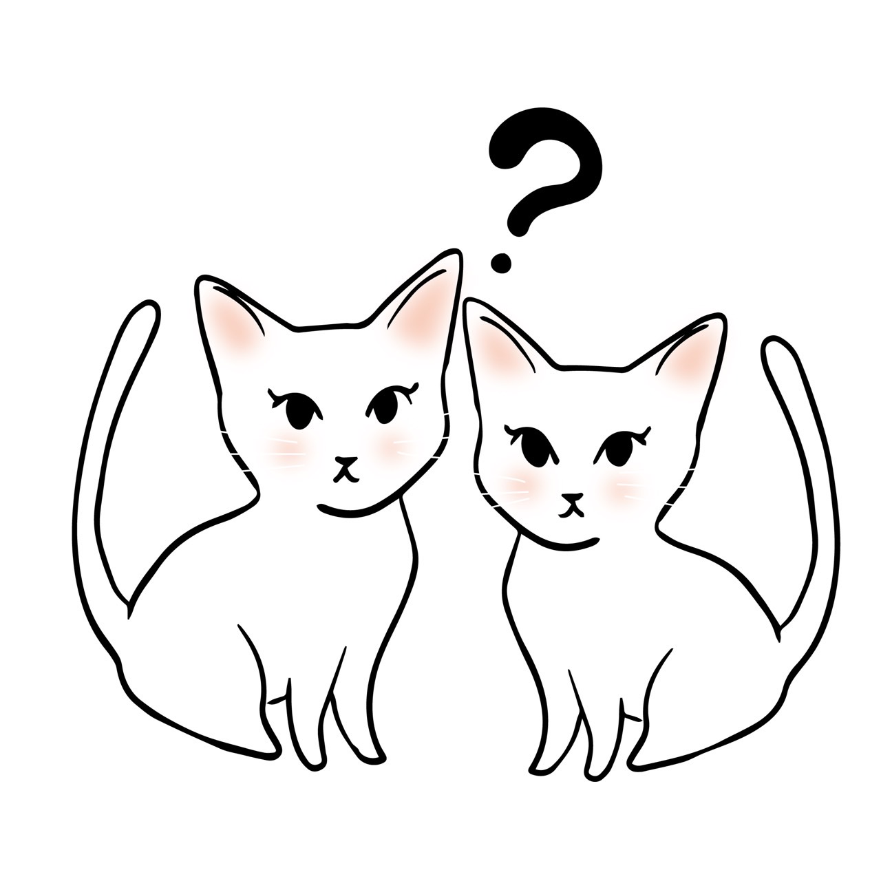 はてな猫