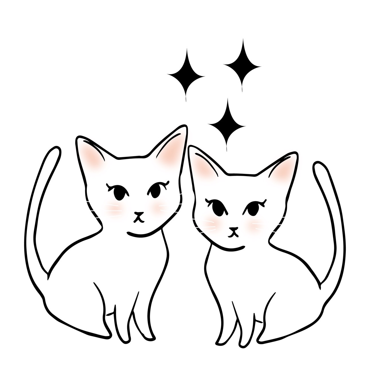 きらきら猫